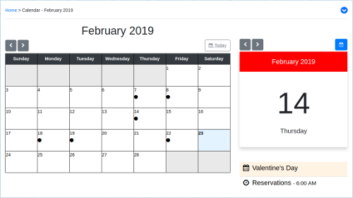 Screenshot of the monthly calendar view with the selected days details shown. One all-day event and one scheduled event are listed for the selected day.